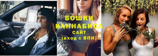 тгк Снежинск