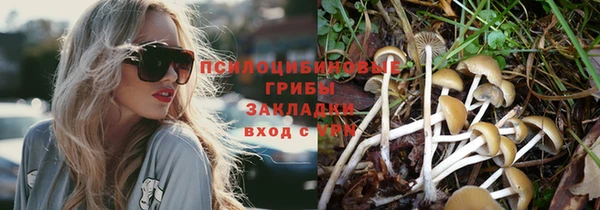 скорость mdpv Горняк