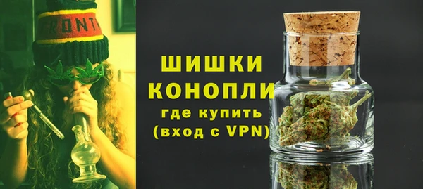 тгк Снежинск