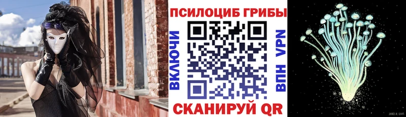 как найти закладки  Нурлат  Псилоцибиновые грибы мухоморы 