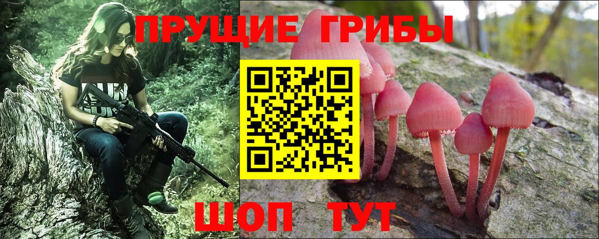 Псилоцибиновые грибы Cubensis  Вход с VPN  что такое наркотик  Нурлат 