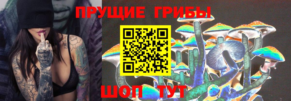 Галлюциногенные грибы GOLDEN TEACHER Нурлат