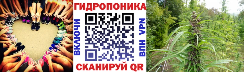 Канабис план Нурлат